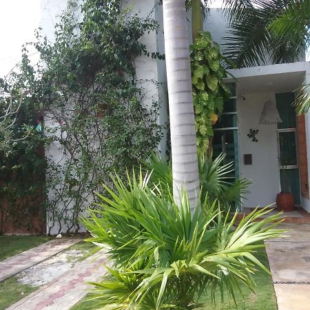 신데 델 카르멘 Casa Rioja Playacar B&B 외부 사진