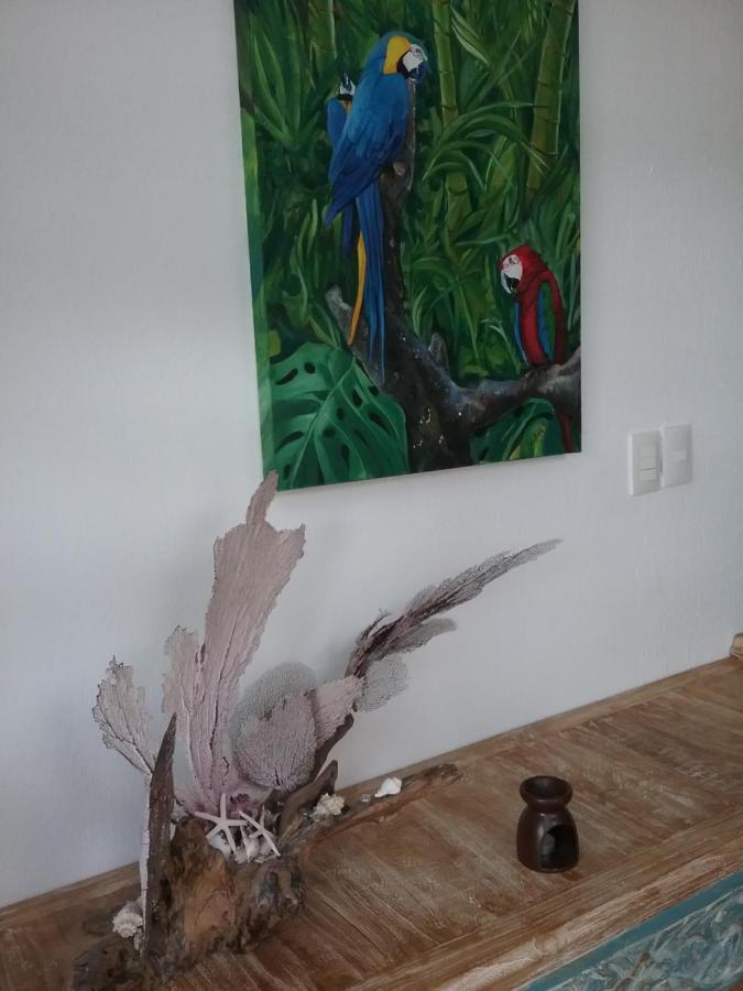 신데 델 카르멘 Casa Rioja Playacar B&B 외부 사진