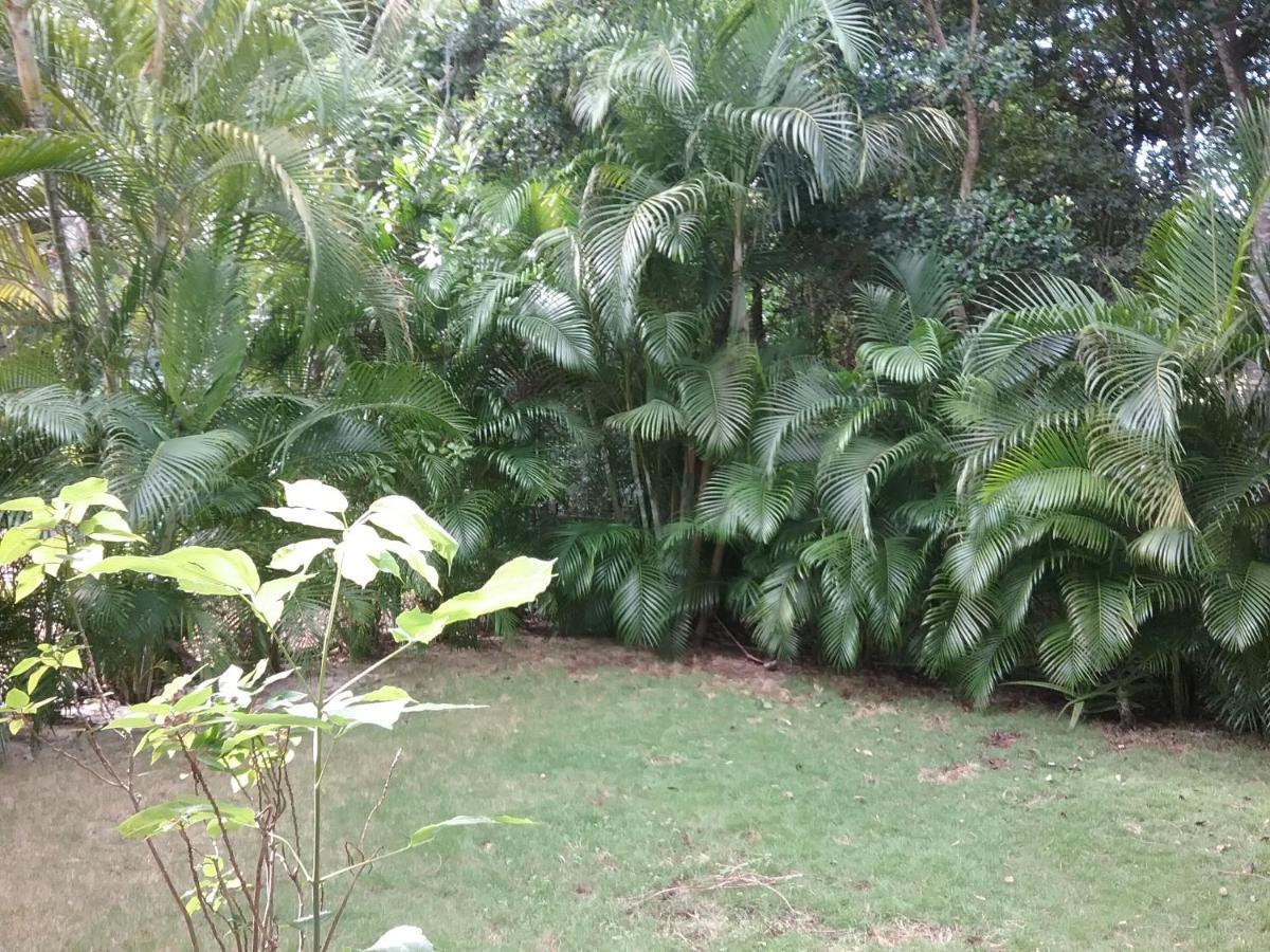 신데 델 카르멘 Casa Rioja Playacar B&B 외부 사진