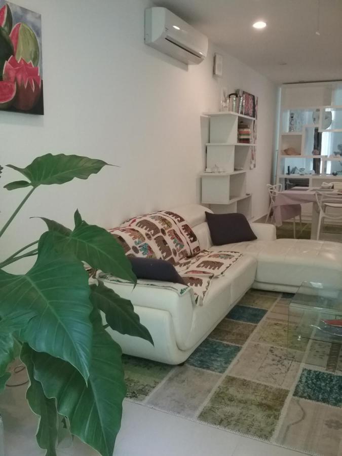 신데 델 카르멘 Casa Rioja Playacar B&B 외부 사진