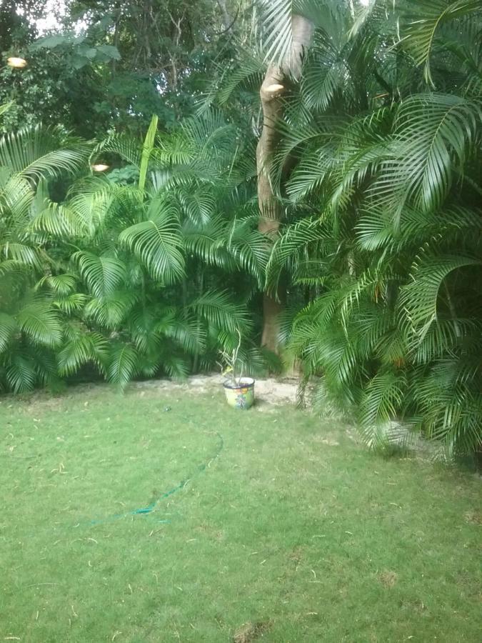 신데 델 카르멘 Casa Rioja Playacar B&B 외부 사진